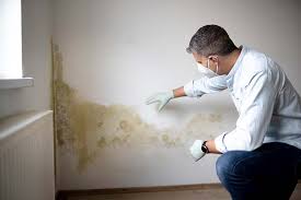 Best Asbestos and Lead Testing During Mold Inspection  in Belle Chasse, LA